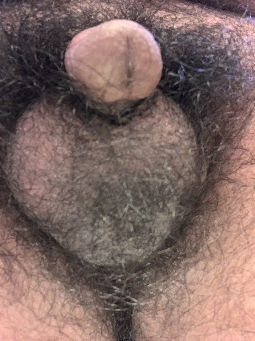 cuck with tiny cock #b3nK4Vfq